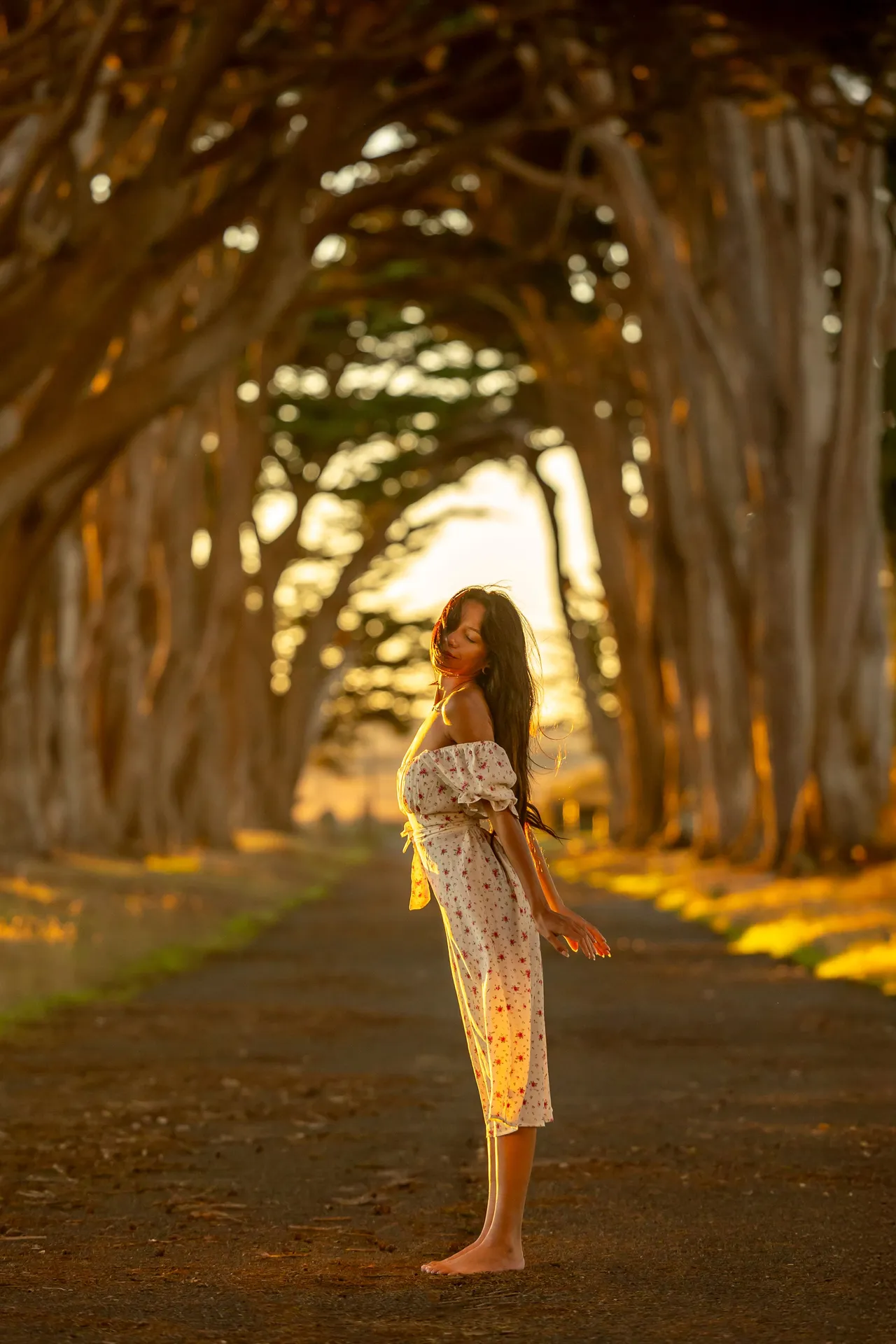 A barefoot woman in a white dress leans back beneath an arching tunnel of cypress trees glowing in golden-hour light.
