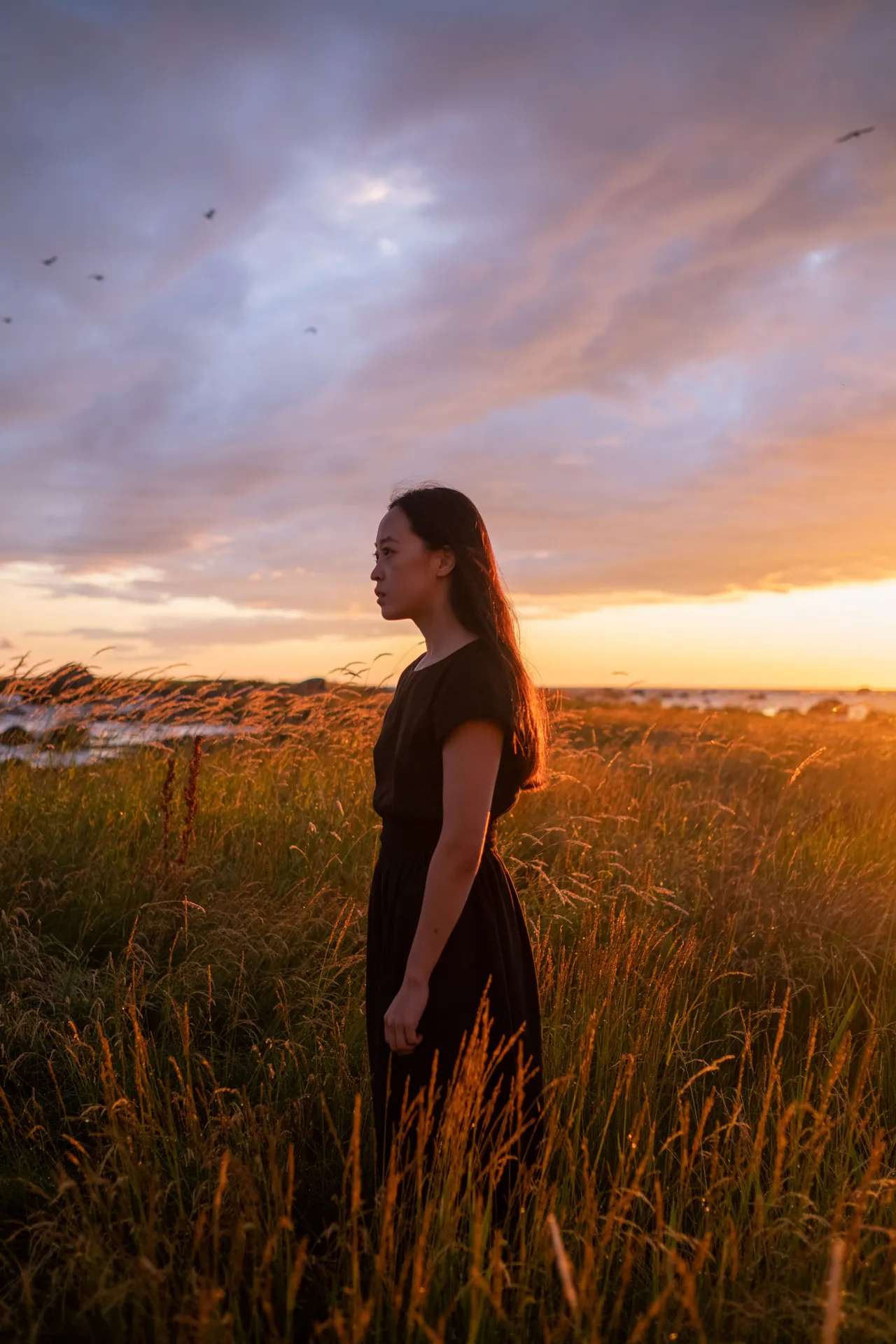 A woman in a dark dress stands in profile amid tall golden grass as a vast sunset sky breaks open over a distant shoreline.