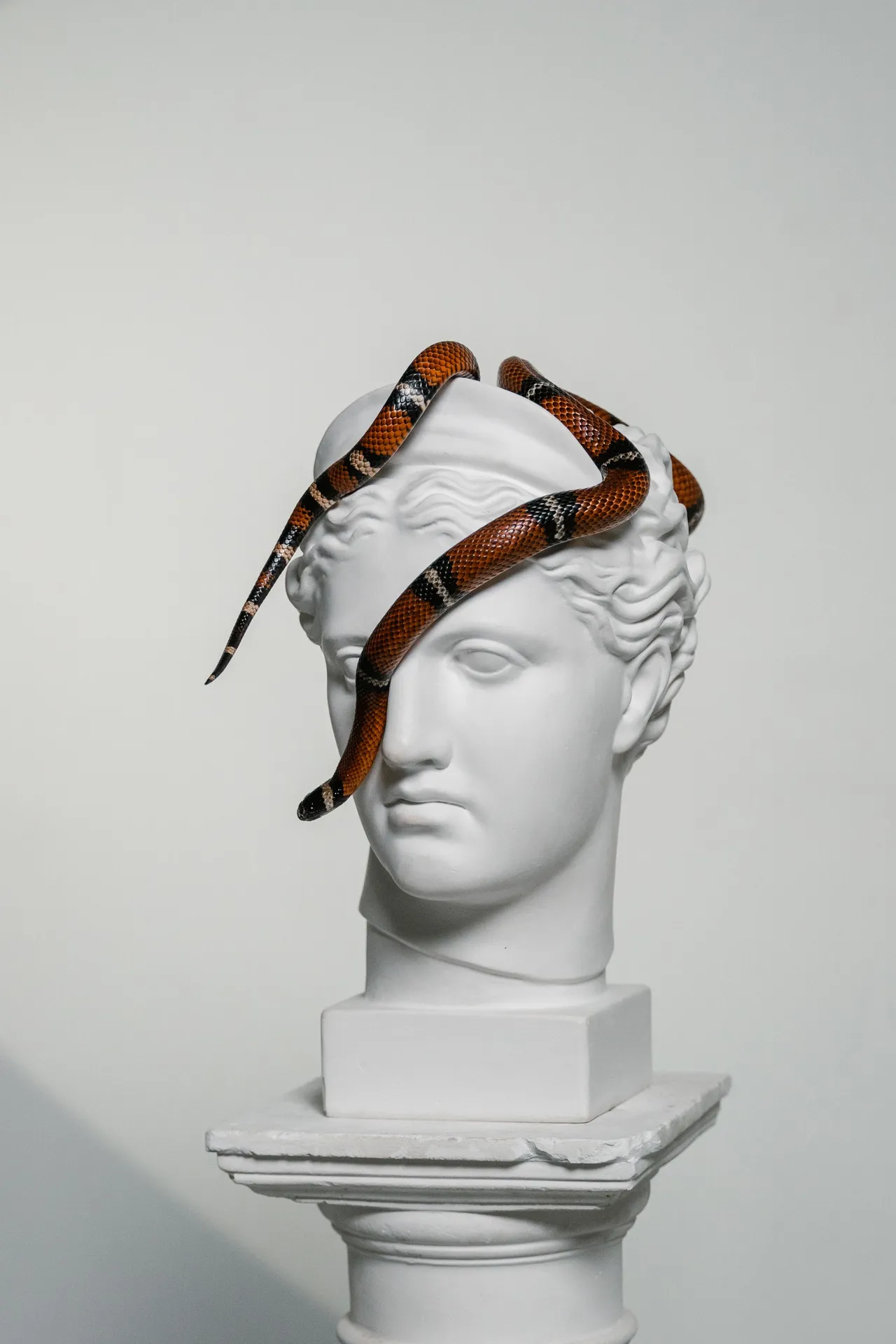 White plaster bust of a classical woman crowned by two orange-and-black banded snakes coiling through its sculpted hair.